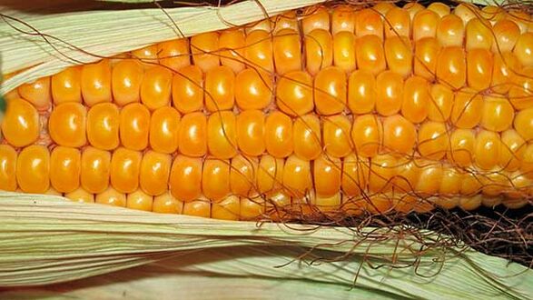 Co nejíst při keto dietě